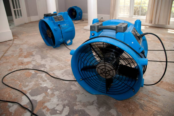 Best Commercial water damage restoration  in USA